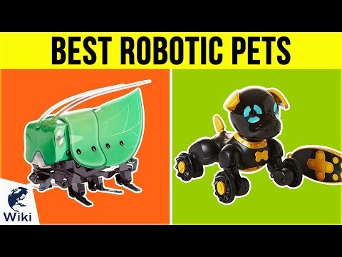 10 Best Robotic Pets 2019