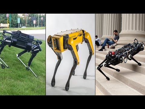 3 Amazing Intelligent Robot Dogs In This Modern Age – Best Robot Pets With Artificial Intelligence.