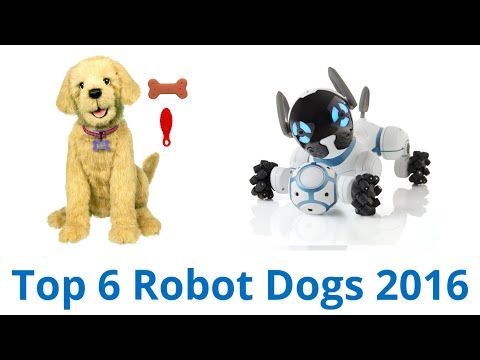 6 Best Robot Dogs 2016