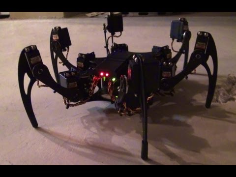 FREAKY Robot! Phoenix Hexapod – Up Close, Questions & Answers