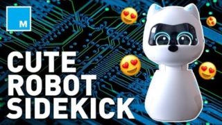 Meet the Robot Pet Who Learns Your Habits – STRICTLY ROBOTS