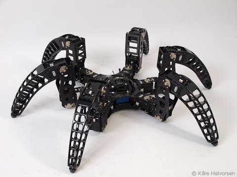 MXPhoenix hexapod robot terrain test