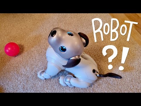 Shockingly Realistic Robot Dog "Jennie" By Tombot - The Robot Company