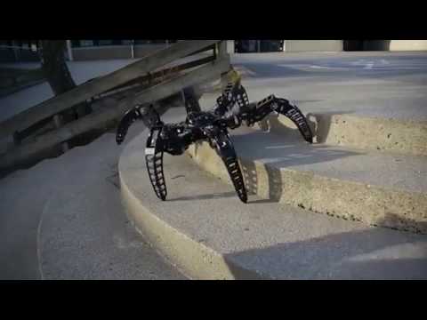 Scorpion vs Spider Robots | Hexapod Robots | Quadrapod Robots