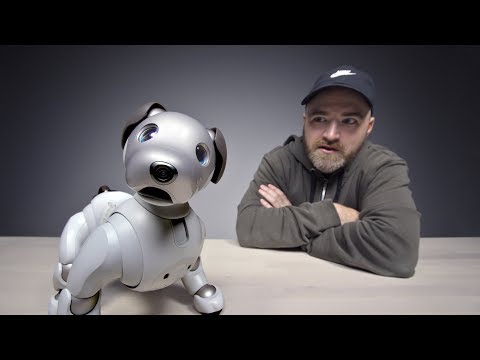 The $3000 Sony Aibo Robot Dog